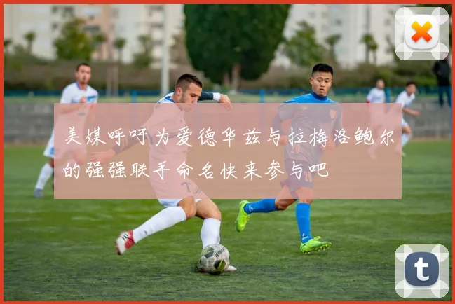 美媒呼吁为爱德华兹与拉梅洛鲍尔的强强联手命名快来参与吧